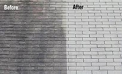 Prevent Roof Mold