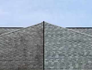 Wash Your Roof