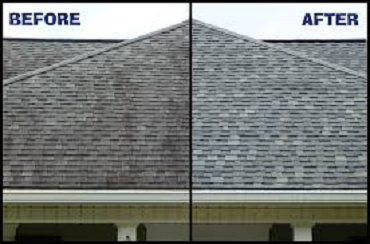 Paint Your Roof